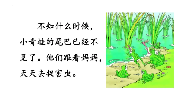 1《小蝌蚪找妈妈 》课件