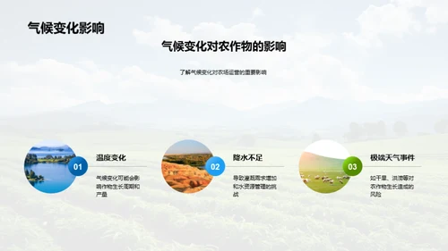种植之道，成果之光