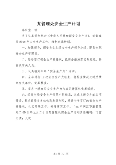 某管理处安全生产计划.docx