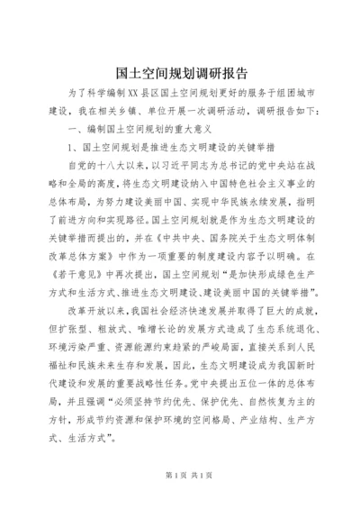 国土空间规划调研报告.docx