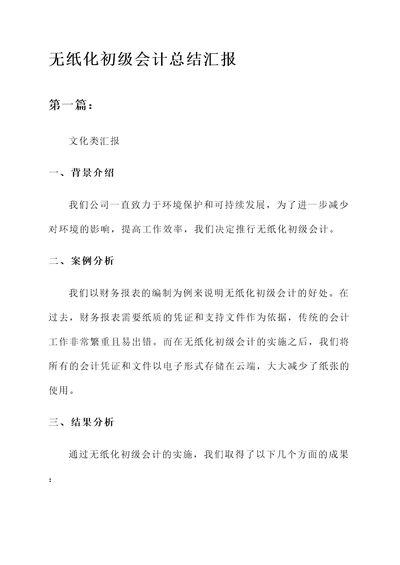 无纸化初级会计总结汇报