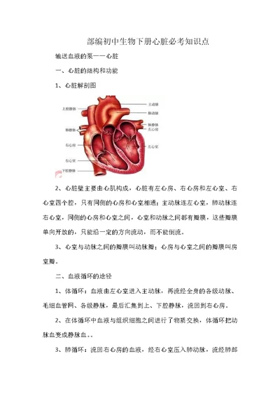 部编初中生物下册心脏必考知识点