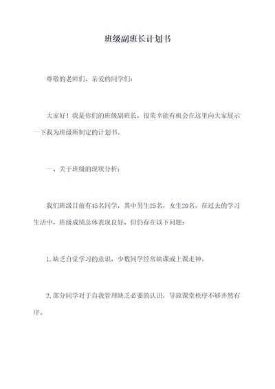 班级副班长计划书