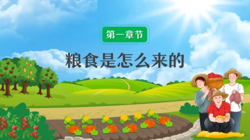 中小学节约粮食主题班会通用PPT模板