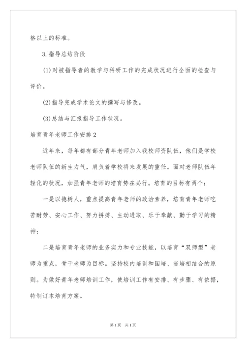 2022培养青年教师工作计划.docx