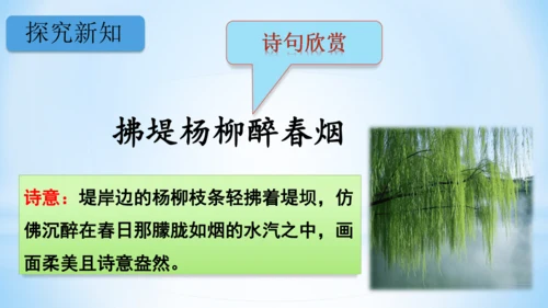 1古诗二首  村居  (教学课件)