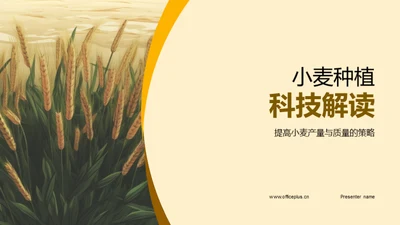 小麦种植科技解读