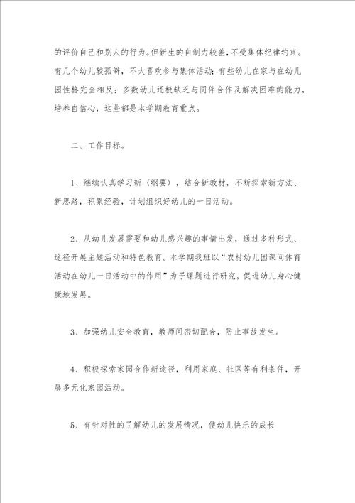 大班幼儿教师个人计划