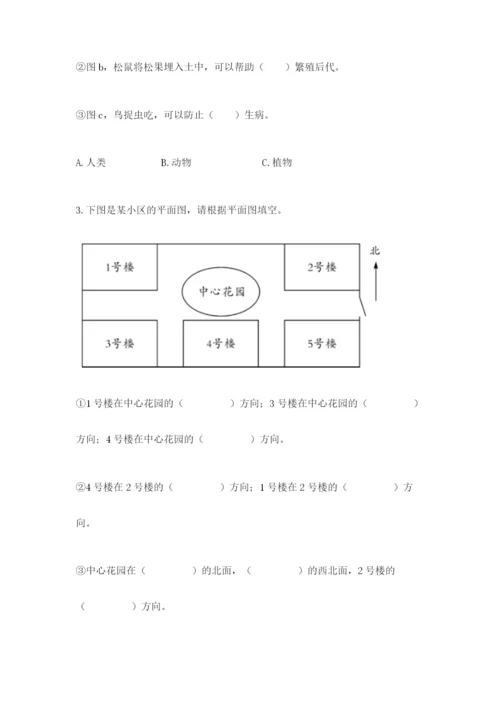 教科版小学二年级上册科学期末测试卷含答案【轻巧夺冠】.docx