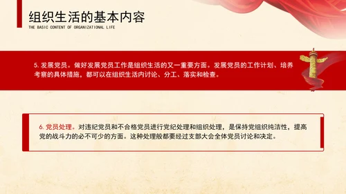2024党支部标准化规范化党支部组织生活ppt课件