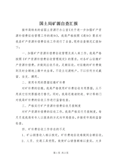 国土局矿源自查汇报.docx