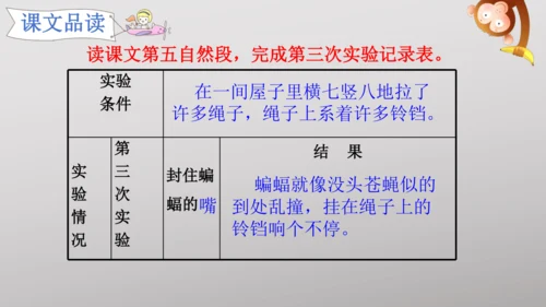 6 夜间飞行的秘密   课件