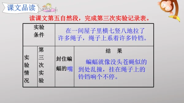 6 夜间飞行的秘密   课件