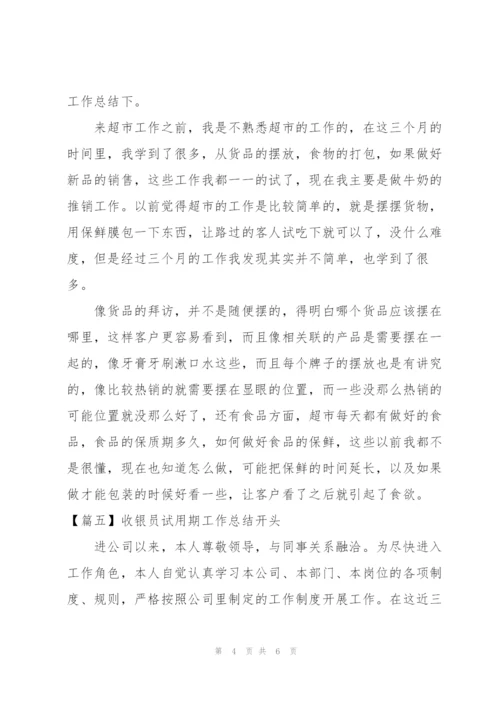 收银员试用期工作总结开头.docx