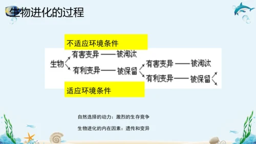 人教版八年级下册生物复习课件