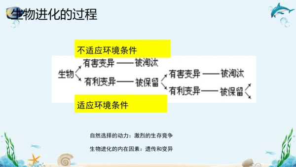 人教版八年级下册生物复习课件