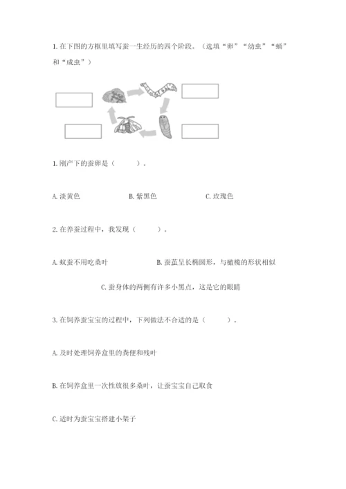 教科版小学科学三年级下册 期末测试卷附完整答案【全国通用】.docx