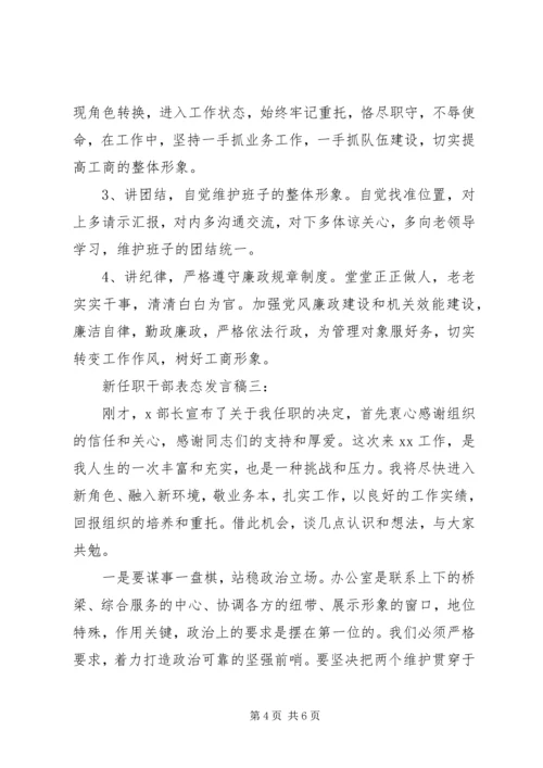 新任职领导干部表态发言稿.docx