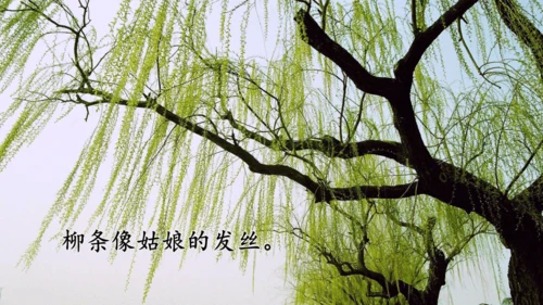 统编版语文二年级上册 课文3  语文园地四（课件）