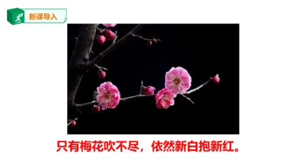 八年级下册第六单元课外古诗词诵读 卜算子.咏梅 课件(共23张PPT)