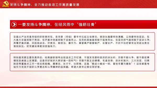 走在前作表率坚决扛起全面从严治党的使命担当ppt