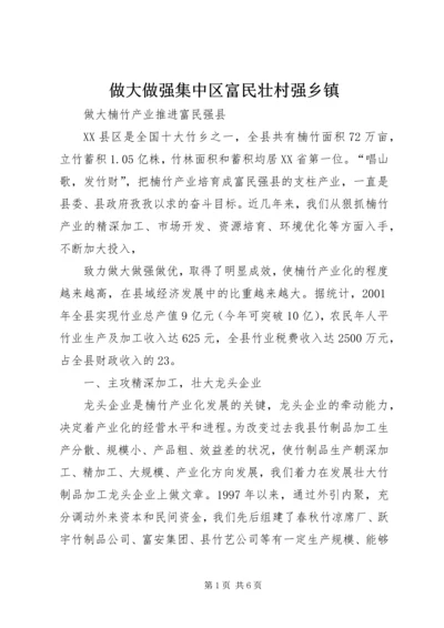 做大做强集中区富民壮村强乡镇 (5).docx