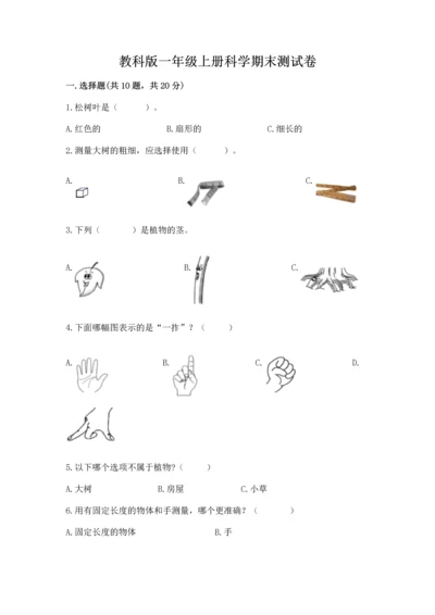 教科版一年级上册科学期末测试卷带答案（新）.docx
