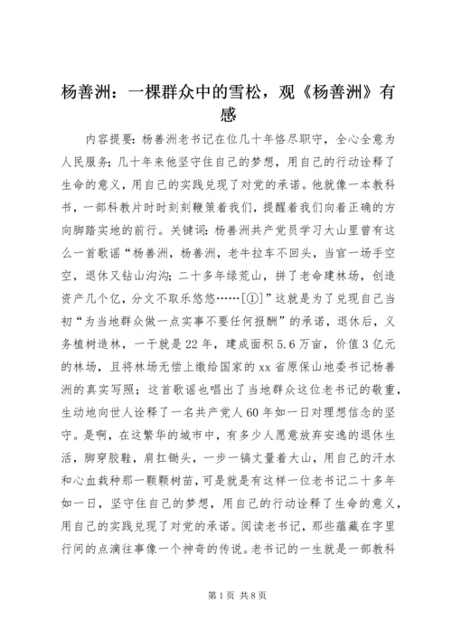 杨善洲：一棵群众中的雪松，观《杨善洲》有感.docx