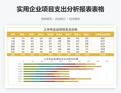 实用企业项目支出分析报表表格