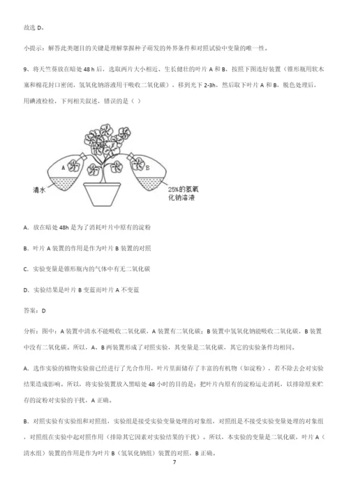 人教版2023初中生物七年级上册第三单元生物圈中的绿色植物重点归纳笔记.docx