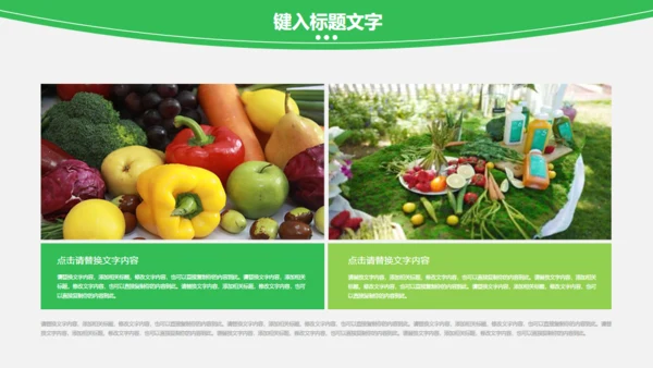蔬菜果蔬农业绿色有机蔬菜通用PPT模板