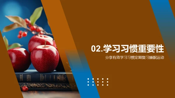 三年级学习之旅