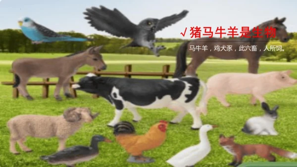 七年级生物学开学第一课-2023-2024学年七年级生物上册同步精品课堂（苏科版）(共32张PPT)