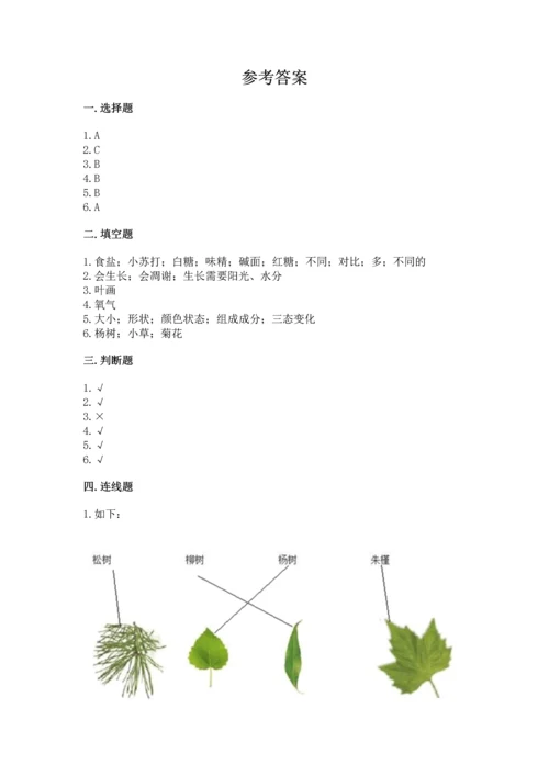 教科版科学一年级上册第一单元《植物》测试卷（word）.docx