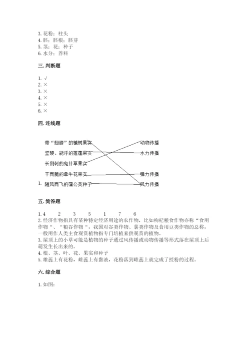 教科版科学四年级下册第一单元《植物的生长变化》测试卷审定版.docx