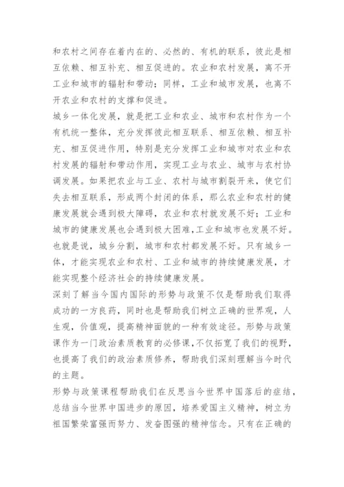 形式与政策经济论文.docx