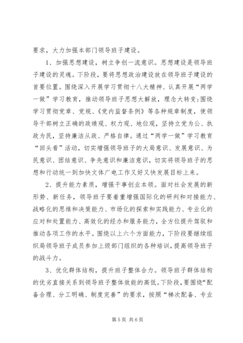 县文体广电局领导班子思想政治建设调研报告.docx
