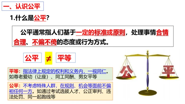 第八课 维护公平正义 复习课件（25张PPT）
