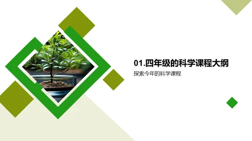 揭秘科学实验之旅