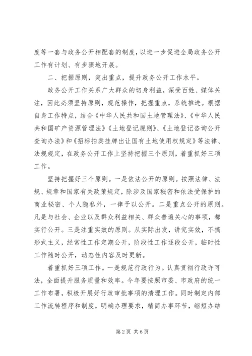 市国土资源局政务公开工作计划.docx