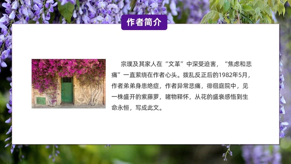 实拍风紫藤萝瀑布七年级语文课件PPT模板