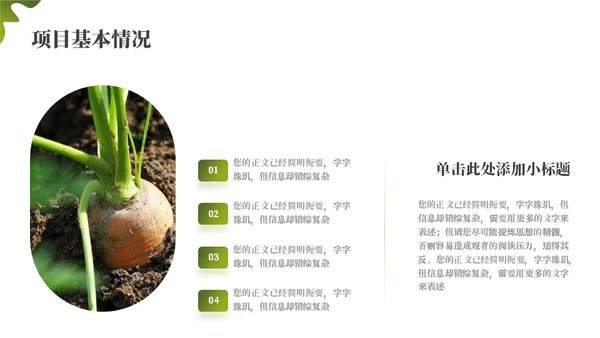 绿色乡村振兴项目工作汇报通用PPT模板
