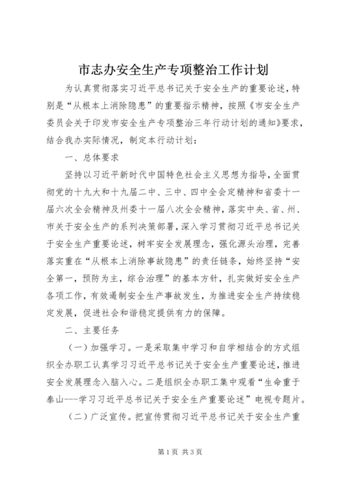 市志办安全生产专项整治工作计划.docx