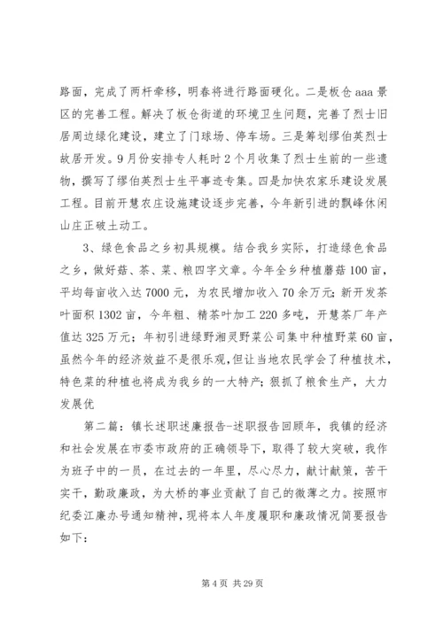 乡镇长述廉述职报告_1.docx
