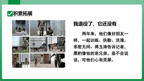 17.动物笑谈（课件）【2023秋人教七上语文高效实用备课】(共33张PPT)