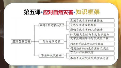 第二单元 爱护地球共同责任（复习课件）-2023-2024学年六年级道德与法治下学期期中专项复习（统