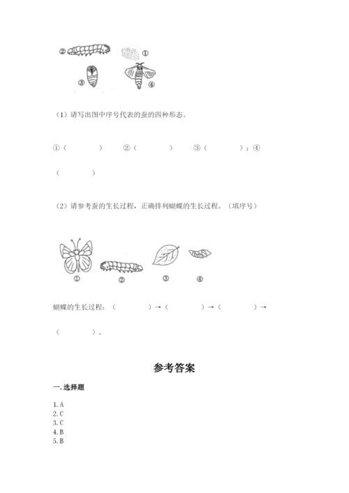 教科版三年级下册科学期末测试卷含完整答案【网校专用】.docx