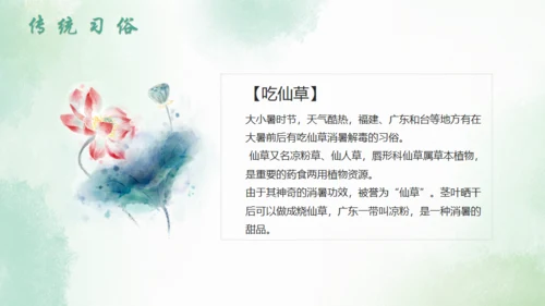 大暑节气中国风水墨荷花背景通用PPT模板