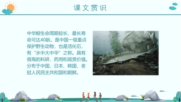 《活化石》语文课件PPT模板