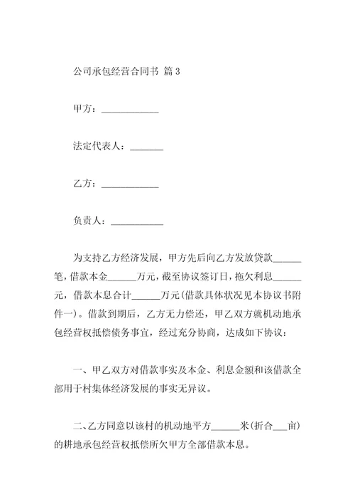 公司承包经营合同书